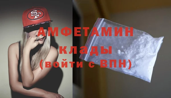 гидра Алексеевка