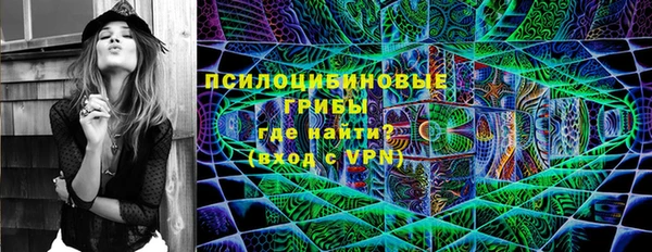 гидра Алексеевка
