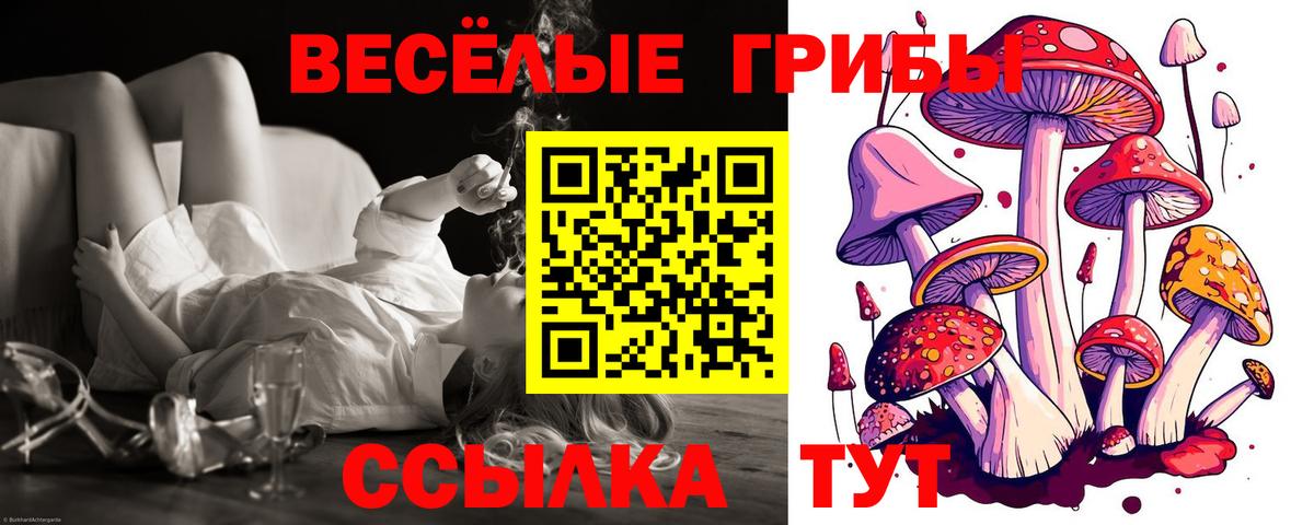Аша  Псилоцибиновые грибы Psilocybine cubensis  Псилоцибиновые грибы MAGIC MUSHROOMS  Вход с VPN 