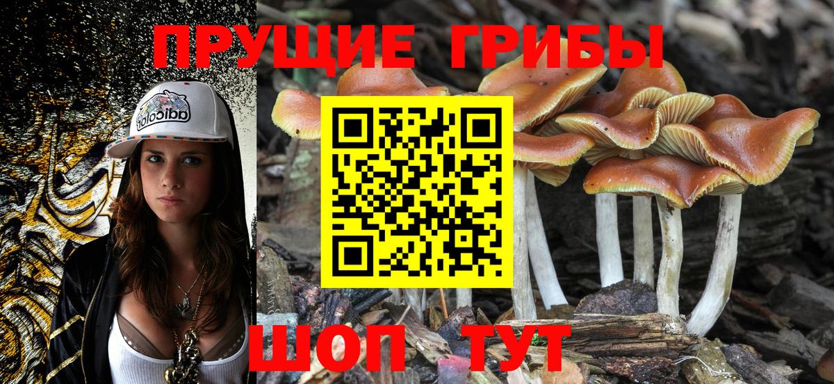 Галлюциногенные грибы GOLDEN TEACHER  Аша 