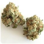 Шишки "White Widow"  (Белая вдова)  Гидропоника -  Бошка VHQ в Аше